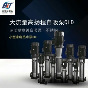 不銹鋼變頻泵多級離心泵