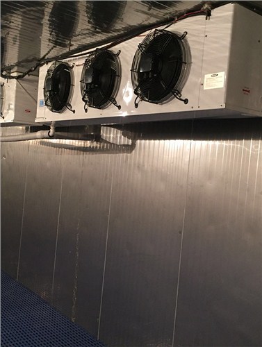 廈門小型冷凍庫廠家|廈門小型冷凍庫設備廠家 明盛興供-- 廈門市明盛興工貿有限公司