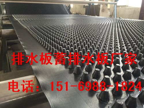 幅寬2米~新余車庫疏水板%景德鎮(zhèn)30公分蓄排水板-- 泰安市澤瑞土工材料有限公司
