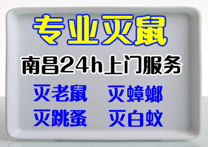 南昌殺蟲公司 南昌滅鼠公司 南昌滅蟑螂公司 白蟻防治中心-- 南昌市嘉事潔病蟲害防治有限公司