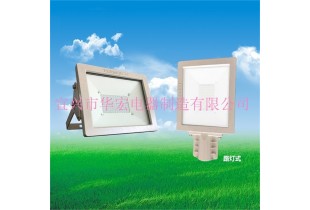 BAD808-L2 LED防爆泛光燈 LED防爆燈 100W