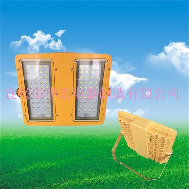 BFC8118-200W LED防爆投光燈 海洋王