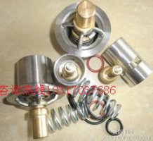 IngersollRand/英格索蘭30HP 空氣壓縮機(jī)卸荷閥-- 德闐壓縮機(jī)械（上海）有限公司