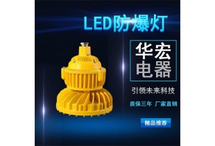 BAD808-M 高效節能LED防爆燈 立桿LED防爆燈