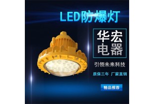 BAD808-M2 高效節能LED防爆燈 場防爆燈