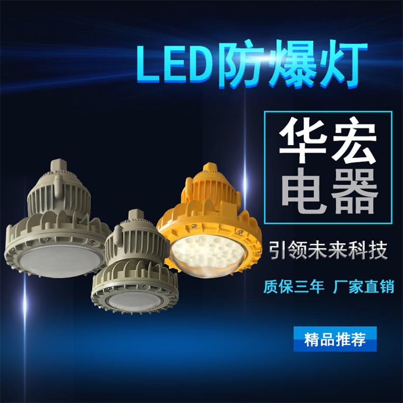 BAD808-M2 LED防爆燈 立桿LED防爆燈