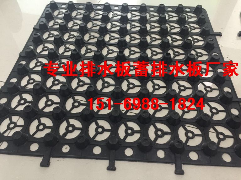 泰安綠泰2.5公分2公分3公分蓄排水板{廠家價(jià)格}-- 泰安市澤瑞土工材料有限公司