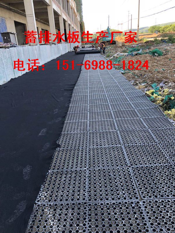北京\天津30高25高20高50高蓄排水板出廠價(jià)格-- 泰安市澤瑞土工材料有限公司