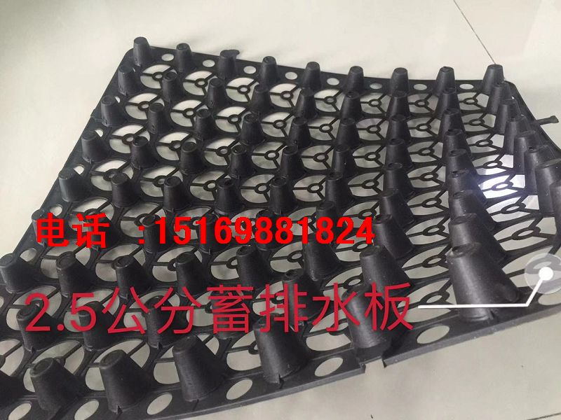 山東|泰安20高30高12高排水板廠家發(fā)貨-- 泰安市澤瑞土工材料有限公司