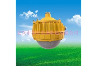 海洋王BPC8766 LED防爆平臺(tái)燈