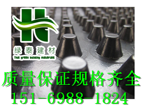 (優(yōu)質(zhì)廠家)2公分上海車庫綠化種植排水板-- 泰安市綠泰蓄排水板廠家