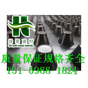 (優質廠家)2公分上海車庫綠化種植排