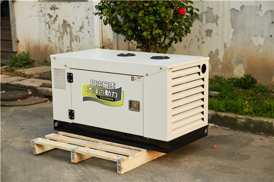 雙缸10千瓦靜音柴油發電機水冷-- 上海豹羅實業有限公司