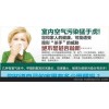 提供成都除甲醛多少錢人人寶供