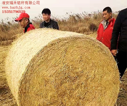 宿遷稻草秸稈加工價格 宿遷稻草秸稈打包費用 瑞禾供-- 淮安瑞禾秸稈有限公司