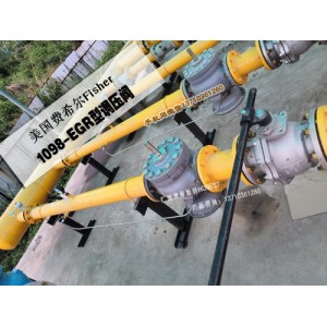 1098-EGR/6351穩(wěn)壓閥，1098備件包109