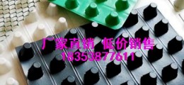 平頂山50高車庫(kù)蓄排水板√復(fù)合排水板生產(chǎn)基地