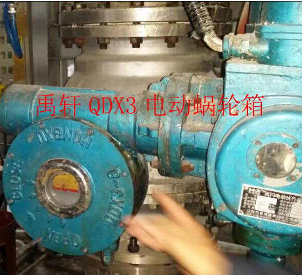 上海禹軒出口型QDX3雙級(jí)蝸輪箱 配套天然氣球閥執(zhí)行器-- 上海禹軒泵閥有限公司