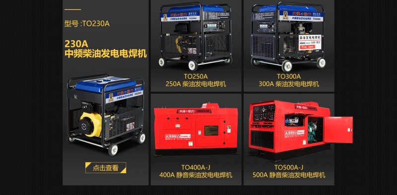 大澤動力柴油發(fā)電電焊機(jī)-- 上海仡維實(shí)業(yè)有限子公司