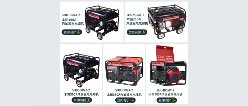 大澤動力汽油發(fā)電電焊機(jī)-- 上海仡維實(shí)業(yè)有限子公司