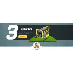 大澤動(dòng)力汽油發(fā)電機(jī)