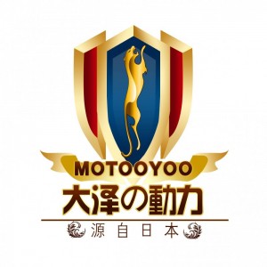 大澤動力