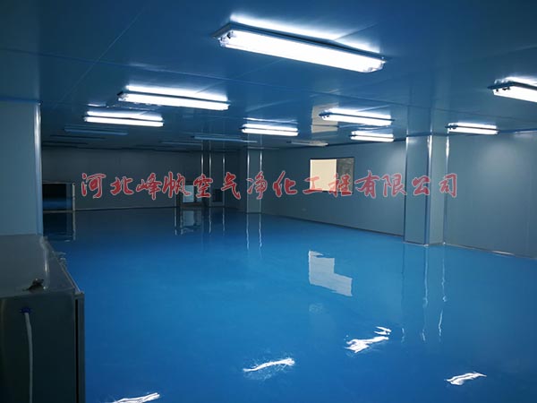 北京天津食品GMP凈化車間潔凈工程施工-- 河北峰帆空氣凈化工程有限公司