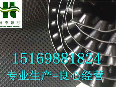廣西省南寧2公分車庫排水板制造廠家-- 泰安市澤瑞土工材料有限公司