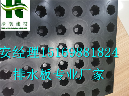 佛山車庫頂板排水板、江門12公分高車庫疏水板-- 泰安市澤瑞土工材料有限公司