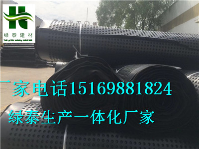 內(nèi)蒙古包頭市3公分2.5公分高強(qiáng))車庫排水板-- 泰安市澤瑞土工材料有限公司