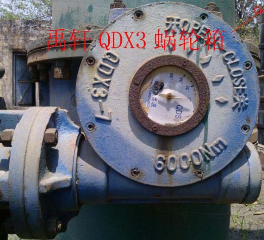QDX3單級(jí)多回轉(zhuǎn)型閥門驅(qū)動(dòng)裝置 禹軒蝶閥手動(dòng)蝸輪箱-- 上海禹軒泵閥有限公司
