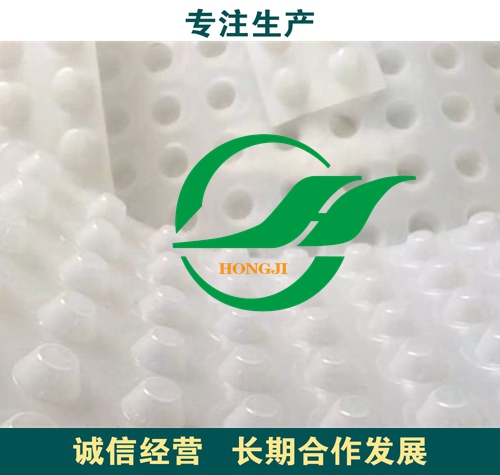 深圳高分子車庫綠化HDPE濾水板型號-- 泰安市程源排水工程材料有限責任公司