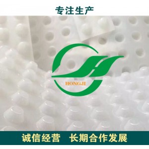 深圳高分子車庫綠化HDPE濾水板型號