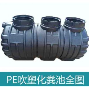 湖北龍康生產(chǎn)PE吹塑一體式三格化糞池