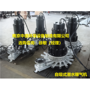 離心式潛水曝氣機(jī)現(xiàn)場(chǎng)運(yùn)行須知；潛水