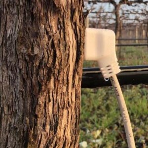 HPV 莖流量傳感器/Sap Flow Sensor