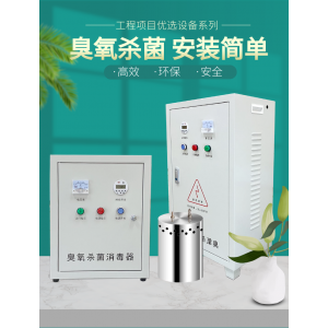 內(nèi)外置式wts-2A/2B /2W水箱臭氧自潔