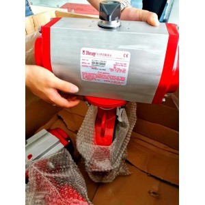 Bray博雷氣動執行器