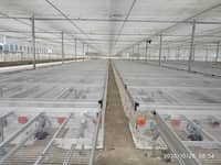 北京愛耕農業設施有限公司生產物流苗床-- 北京愛耕農業設施有限公司