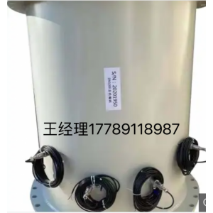 TDS-100F1AC 插入式超聲波流量計(jì)