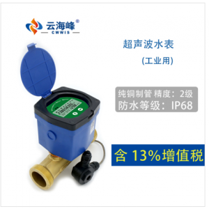 CWIS86系列——超聲波工業(yè)用電子智能